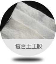 大苗