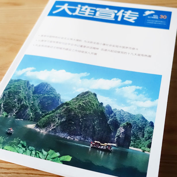 大連市市委大連宣傳期刊設(shè)計